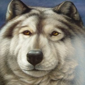 Tundra Wolf III by Harold Rigsby 6/500 Signed